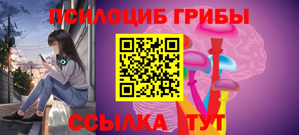 Псилоцибиновые грибы Cubensis Людиново