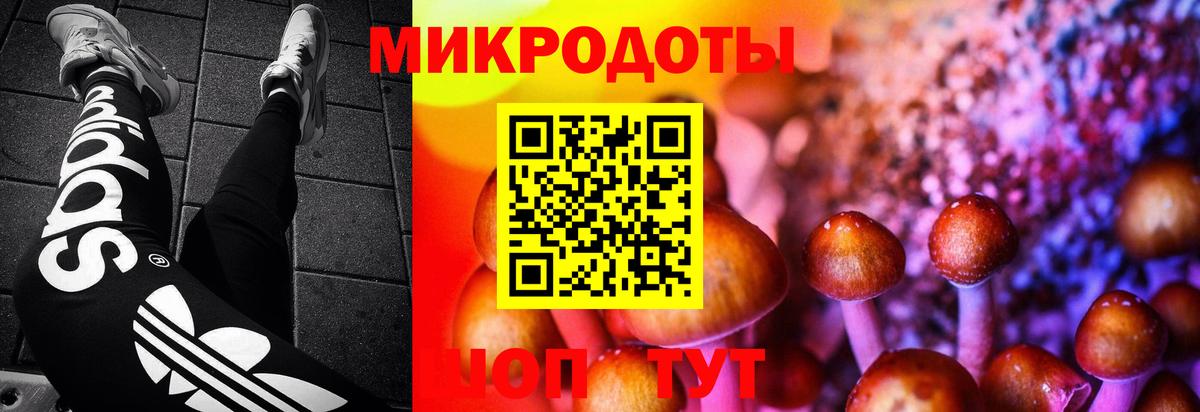 Галлюциногенные грибы Psilocybine cubensis  Галлюциногенные грибы MAGIC MUSHROOMS  Вход с VPN  Людиново 